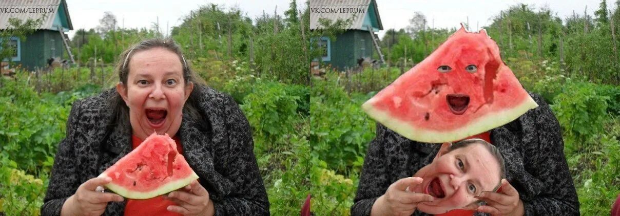 Женщина с огурцом. Бабушка с огурцами во рту мем. Огурцы на рынке. Смешная девушка с огурцом. Человек с банкой огурцов.