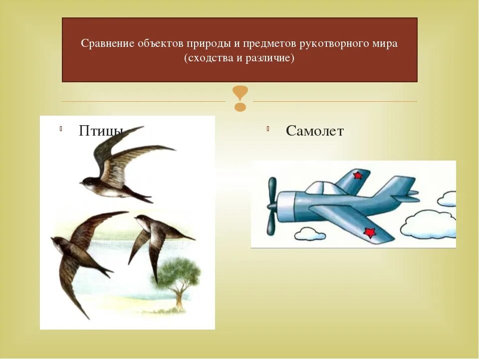 Сходство и различие птиц. Самолет и птица аналогия. Птицы и самолеты сходство. Сходство между птицей и самолетом. Самолет и птица сравнение для детей.