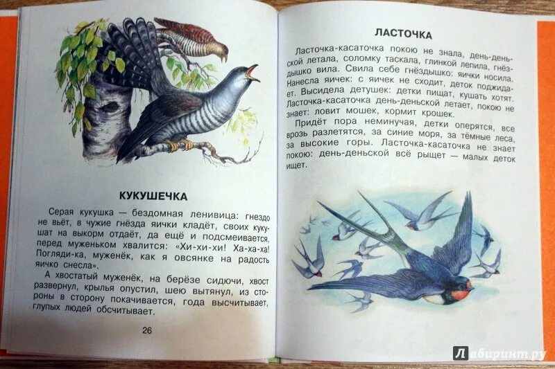 Читать ушинского 1 класс. Книга Ушинского Ласточка. К.Д.Ушинский рассказы для детей Ласточка. К Д Ушинский Ласточка рассказ.