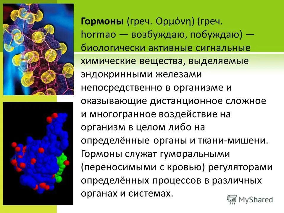 Биологически активные вещества выделяемые в кровь