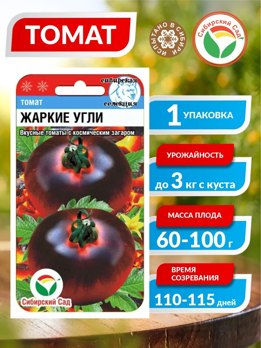 томат черная магия 20шт (сибсад). томат жар угли. сорт помидор жаркие угли. томат жаркие угли характеристика. томат жар угли.