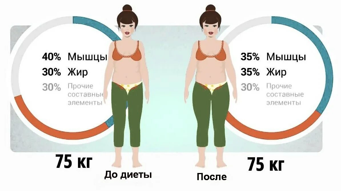 Сколько жира можно сжечь. Соотношение мышц и жира в теле. Норма жира в организме. Процент жира и мышц. Соотношение жир вода мышцы.