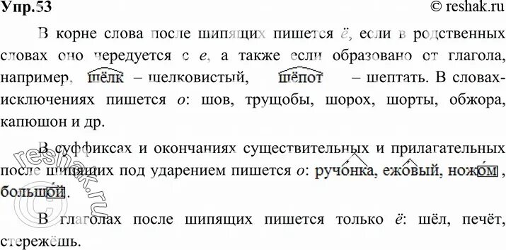 Русский язык 6 класс упр 603. Русский язык 6 класс упражнение 53. Упр 53 по русскому языку. Упр 53 6 кл. Гдз по русскому 6 класс упр 53.