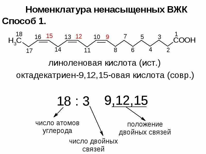 Липид с линоленовой кислотой. Линоленовая кислота название по номенклатуре. Линоленовая кислота биологическая роль. Номенклатура высших жирных кислот. Альфа линолевая кислота