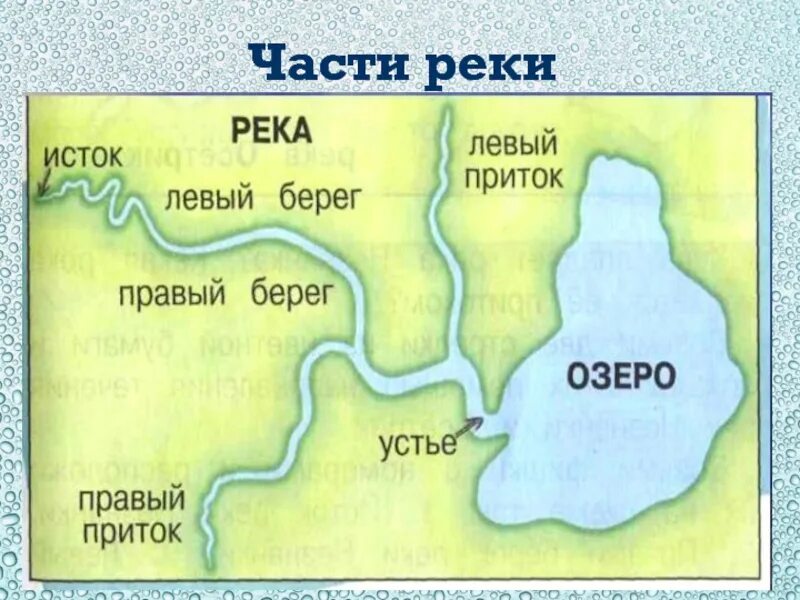 Днепр какой берег левый. Исток Устье правый и левый приток реки. Окружающий мир 2 класс река Устье Исток. Устье Исток русло схема. Части реки окружающий мир схема.