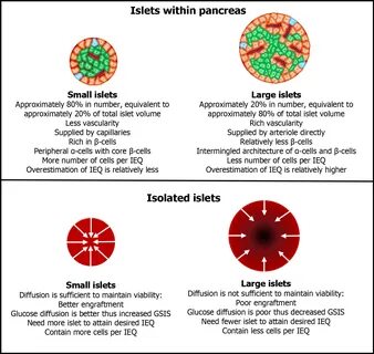 Slideshow subhashree sahu xhamster.