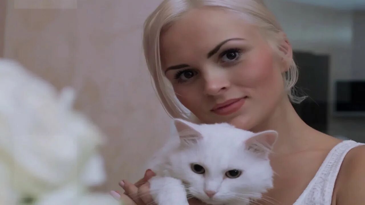 Блондинка и кот. Ann winsborn. блондинка с котом. девушка с белой кошкой.