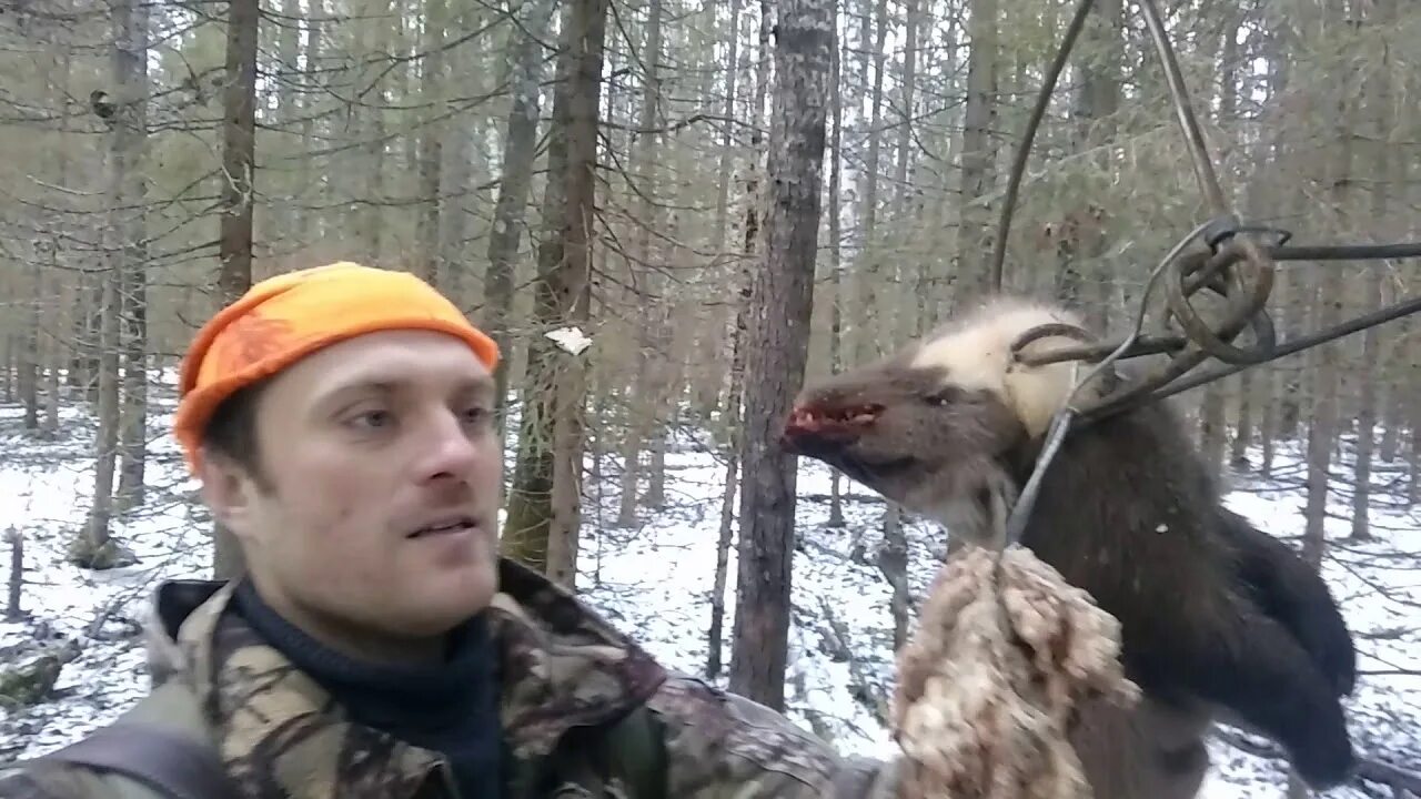 Капкан агафонова ка-2. Капкан агафонова на куницу. Проходной капкан 220 круглый. Капкан агафонова ка-2. Капкан к2.