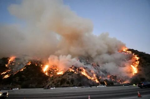 Fire looked