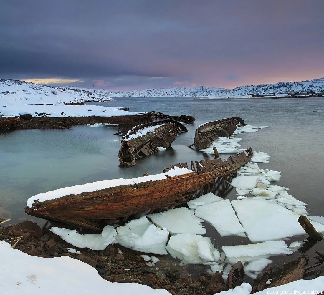 остров александры земля франца иосифа. остров врангеля зима. побережье крайнего севера. остров врангеля белые медведи. каменный пляж териберка.