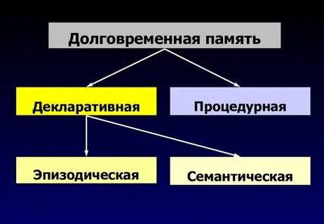 Долговременная слуховая память