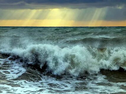 Есть ли сегодня волны на море