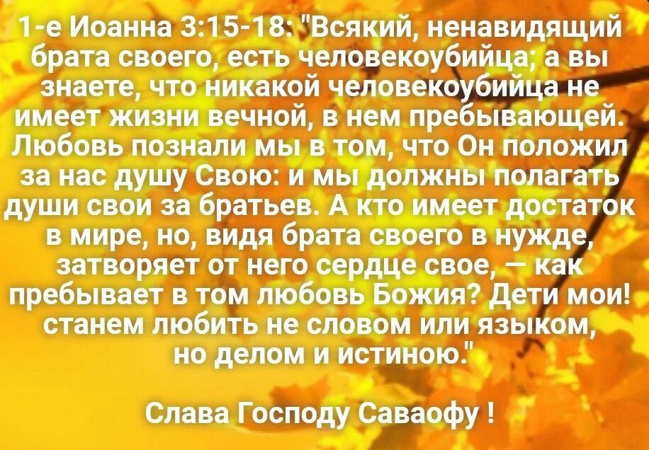 Ненавижу брата. Всякий ненавидящий брата своего есть человекоубийца. 1е иоанна 3:18.