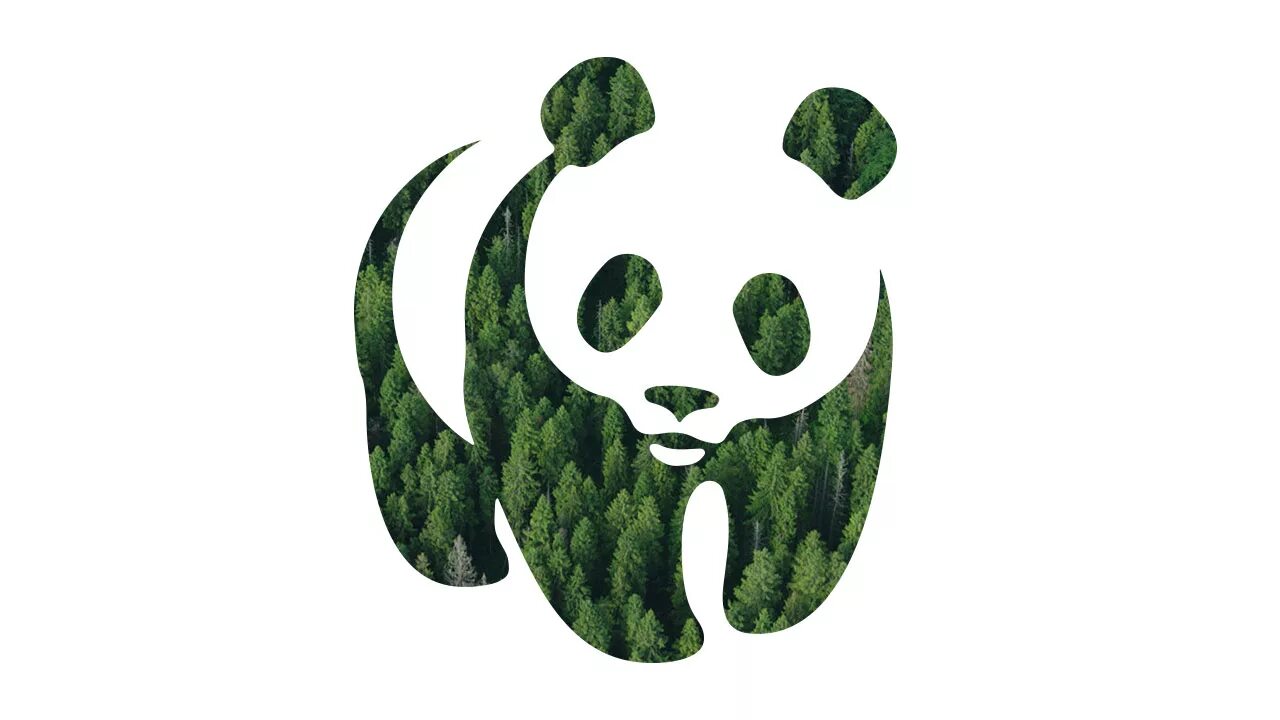 The world wildlife fund is an organization. Всемирный фонд дикой природы WWF. Всемирный фонд дикой природы лого. Благотворительный фонд WWF. Фонд дикой природы (WWF) знак символ.