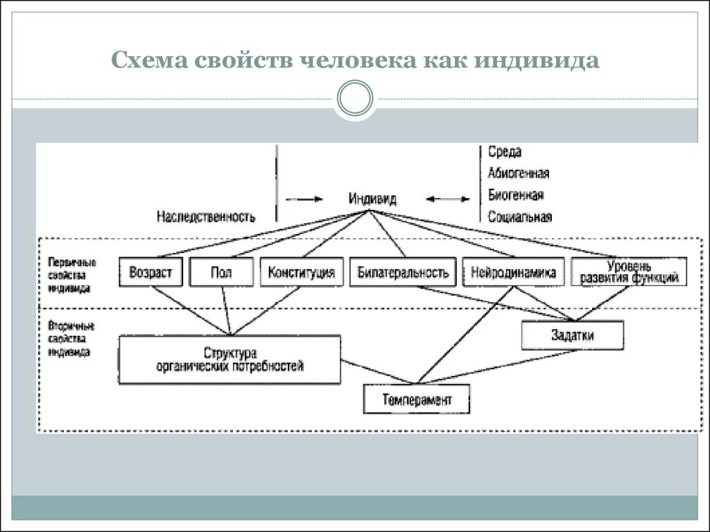 Основные качества индивида. Структура индивида схема. Схема свойств человека как индивида. Характеристика индивида как личности. Индивидные свойства человека в психологии схема.