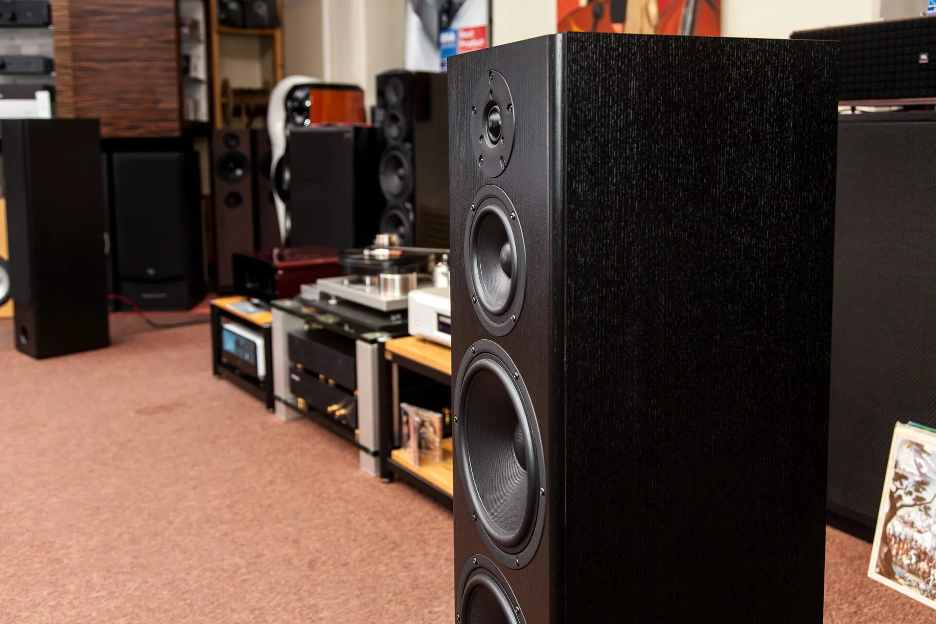 Dynaudio focus 50. Акустика красноярск. Напольная акустика ямаха. Напольная акустика yamaha. Sven двухполосные полочники.