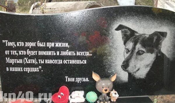 Куда девать умершую собаку
