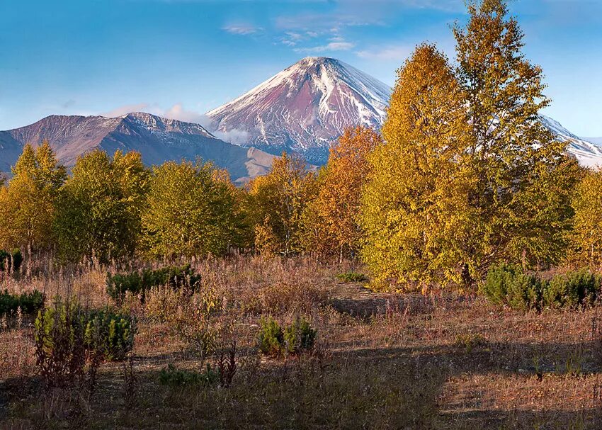Что и когда можно увидеть на Камчатке: вулканы, медведи, киты