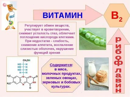 Витамин в2 инструкция по применению