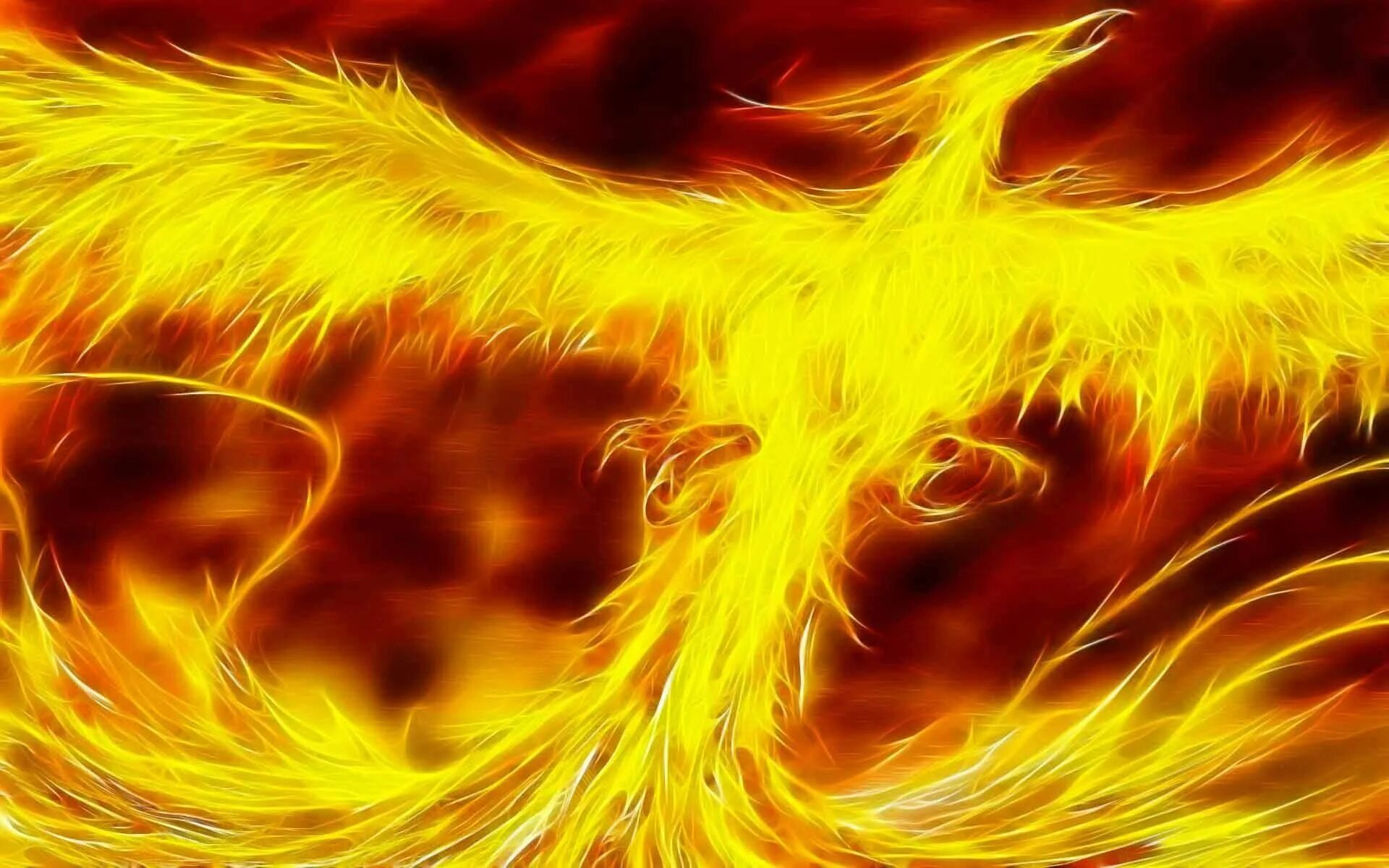 Огненная птица Рарог. Рарог Сокол Феникс Финист. Огненная птица Феникс. Огненный Сокол Рарог. Феникс стоимость