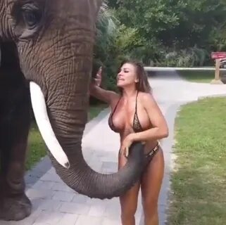 Hilarious VIDEO: Model wanted to take a picture with an elephant, but did n...