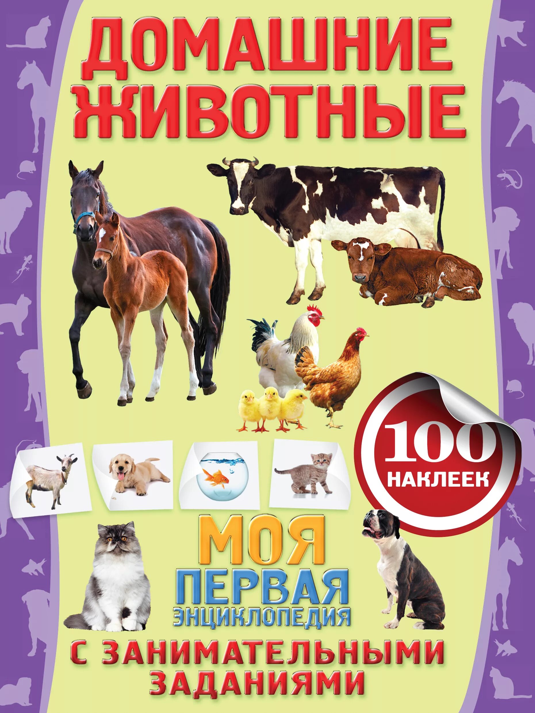 Расскажите детям о домашних животных. КГИ И О домашних животных. Книге одамашних жывотных. Книги о домашних животных. Книги о домашнизживотных.