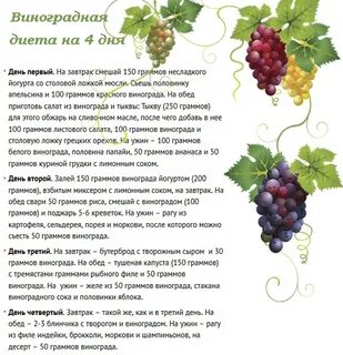 Сколько винограда можно в год