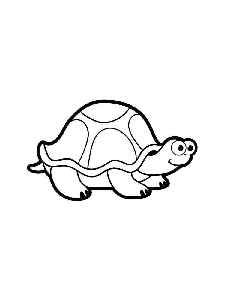 Turtle write