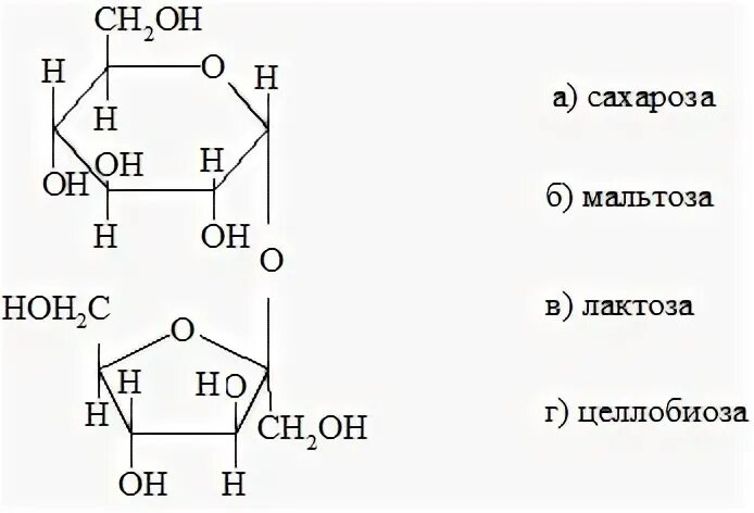 Целлюлоза вода глюкоза