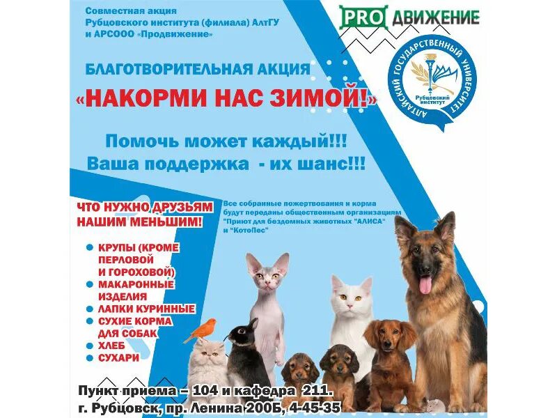 Акция покорми животных. Акция покорми бездомных животных. акция накорми друга. акция покормите животных.