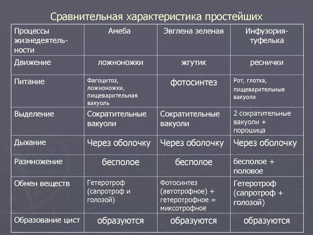 Характеризует несколько свойств. Биология таблица сравнительная характеристика простейших. Сравнительная характеристика представителей простейших таблица. Общая характеристика простейших 7 класс биология таблица. Биология общая характеристика простейших таблица.