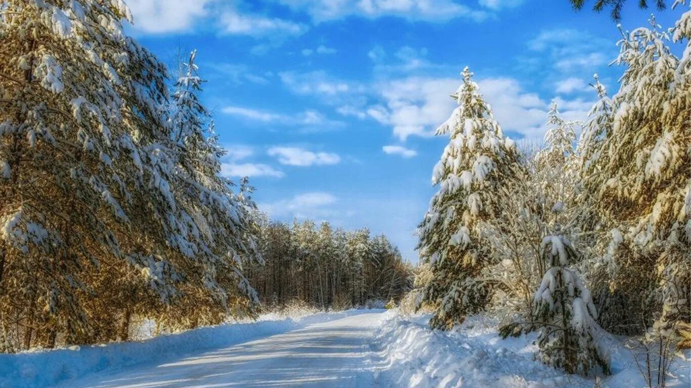 Сибирь зимой. Бурятия зима тайга. Хмао сибирь. Зима в западной сибири. Сибирские зимние пейзажи.