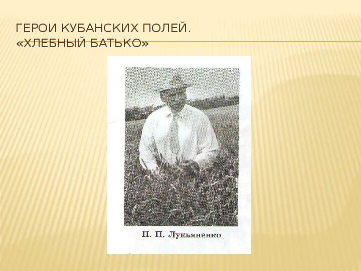 Труженики краснодарского края и их достижения. Герои кубанских полей. Труженики кубанских полей. Проект герои кубанских полей. Труженики полей кубанцы.