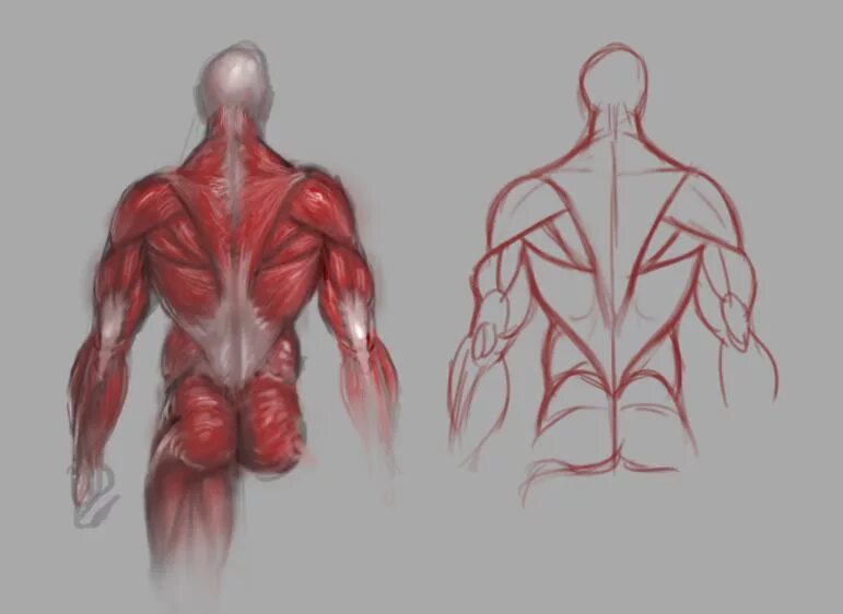 Draw back