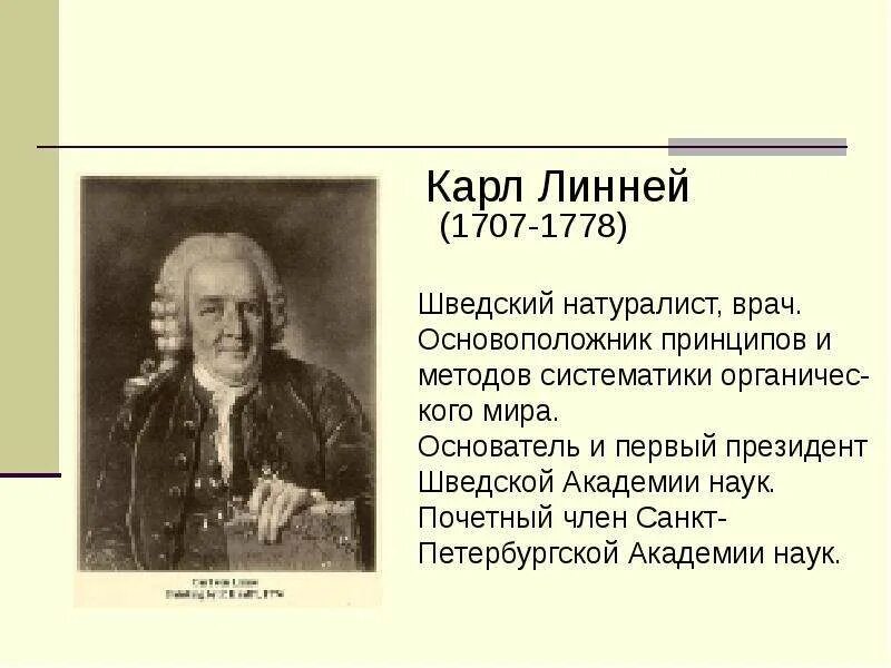 Какой вклад внес в биологию к линней. Линней вклад в науку.