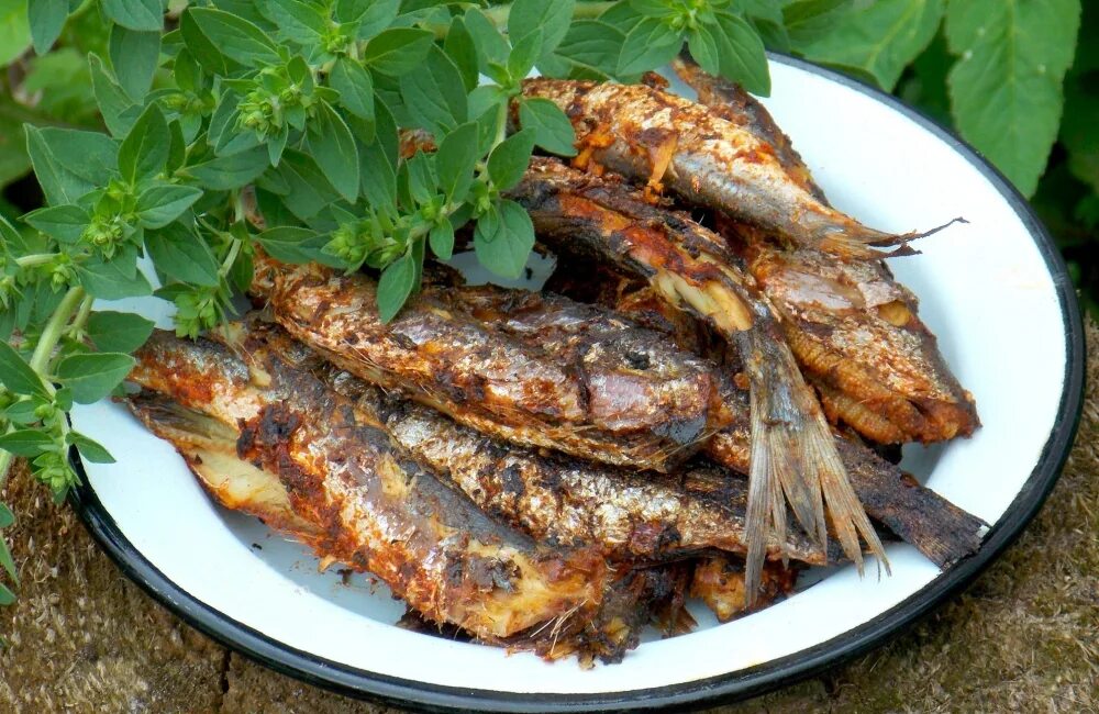 Салака рыба копченая. Салака рецепты копчения. Салака рецепты копчения. Салака копченая фото. Салака рыба копченая.