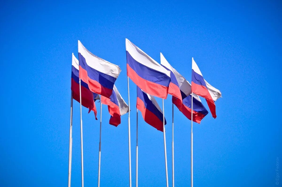 Развевающиеся флаги стран. Флаг россии. много флагов россии. российские флаги много флажков. флаг россии развивающийся.