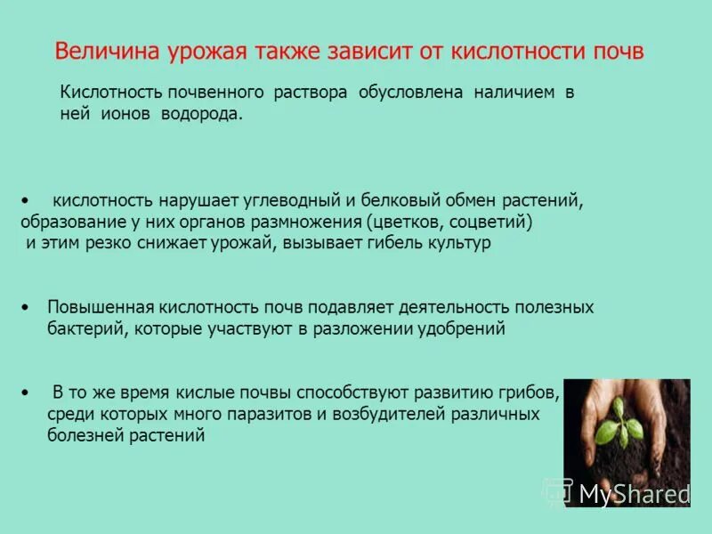 Плодородие зависит от содержания. Кислотность почвы и урожай. Зависимость урожай от почв. Влияние кислотности почвы на рост растений. Урожайность от кислотности почв.