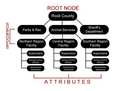 Node root