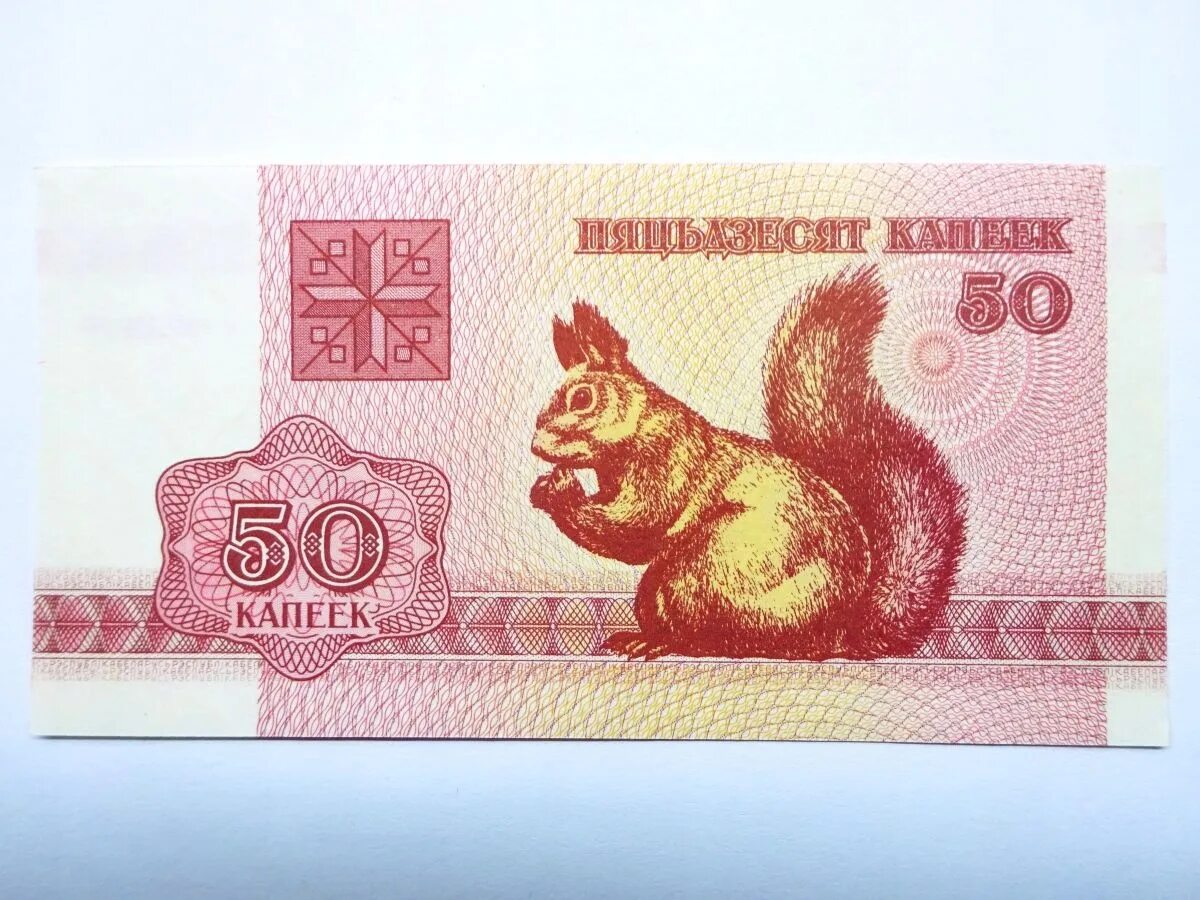 Денежные знаки республики беларусь. Валюта белоруссии название. Котировка валют в банках. Доллар юмор. Белорусские зайчики 1992.