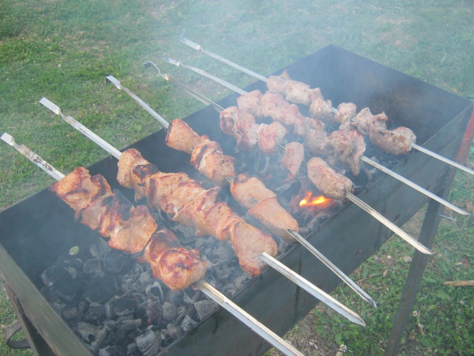Шашлык на шампуре. Работа шашлычки. Шашлык проект 3 класс. Шашлыки в парке. Работа шашлычки.