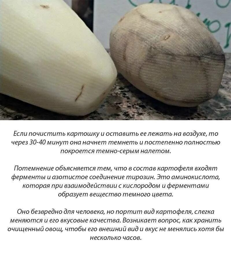 Можно ли есть почерневшую картошку