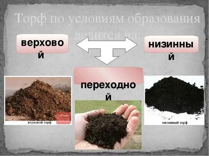 Его добывают на болотах