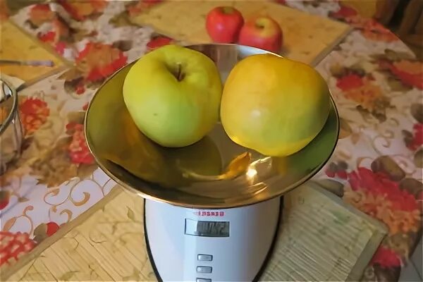 Яблоко на весах. 1 яблоко в граммах. Массу яблоня. Весы кухонные с калориями. Вес одного яблока.