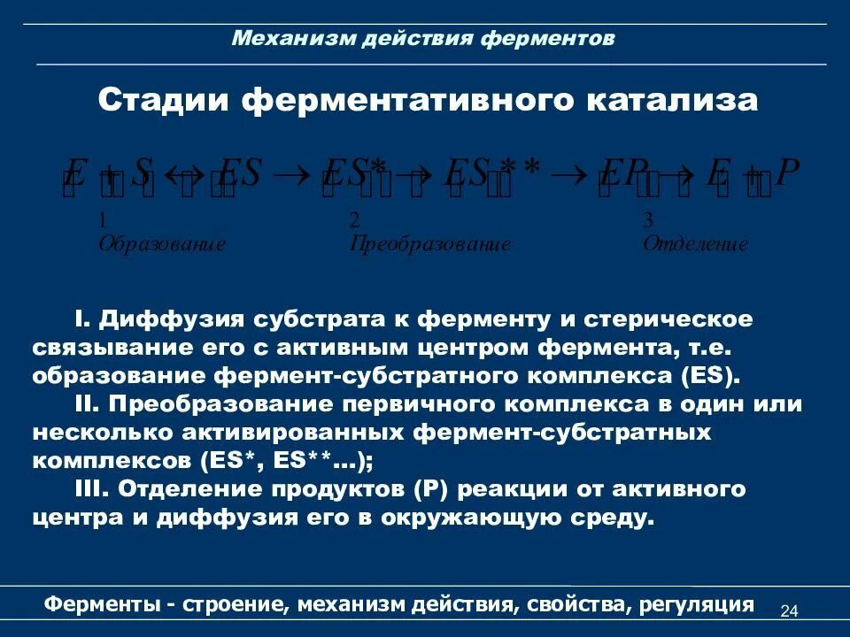 Этапы действия ферментов. Механизм действия ферментов. Строение и механизм действия ферментов. Механизм действия ферментов кратко. Механизм функционирования ферментов.