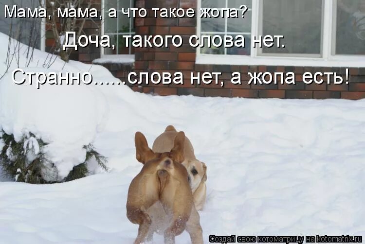 Ест зад. Задом есть такое слово. нет такого слова.