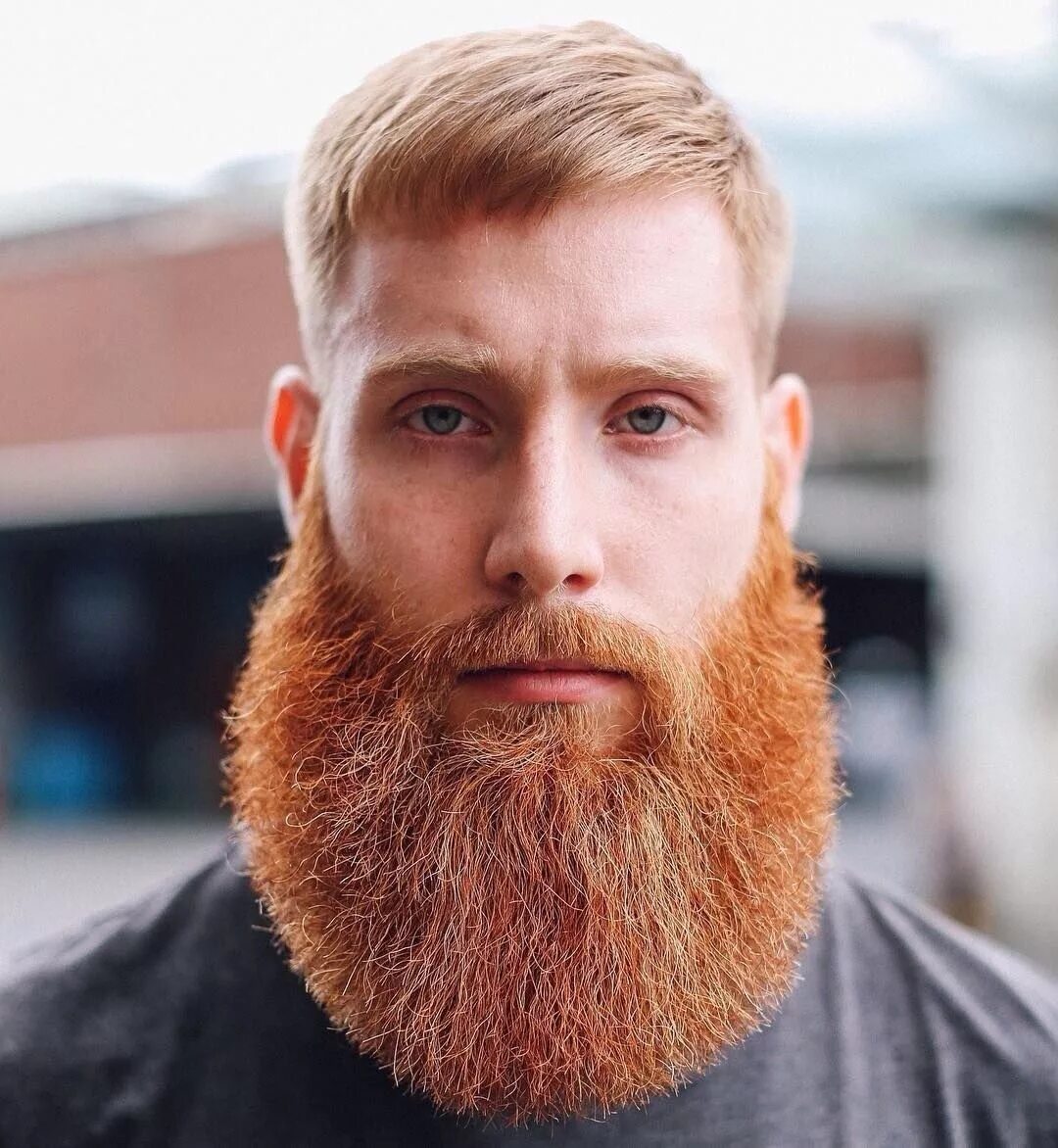 Борода Барнхольц. Борода норвежский Шкипер. Стрижка бороды.