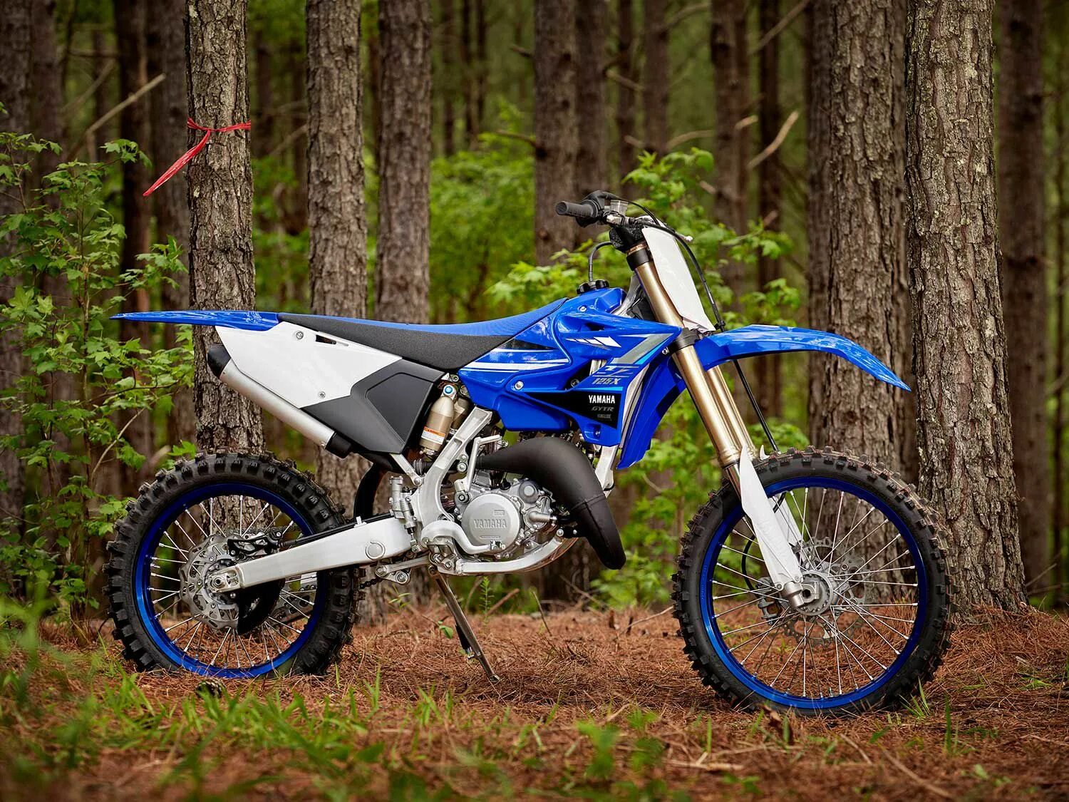 Купить кросс 125. Yamaha YZ 125 2020. Yamaha YZ 125 эндуро. Yamaha 125 кроссовый. Yamaha 125 YZ кросс.