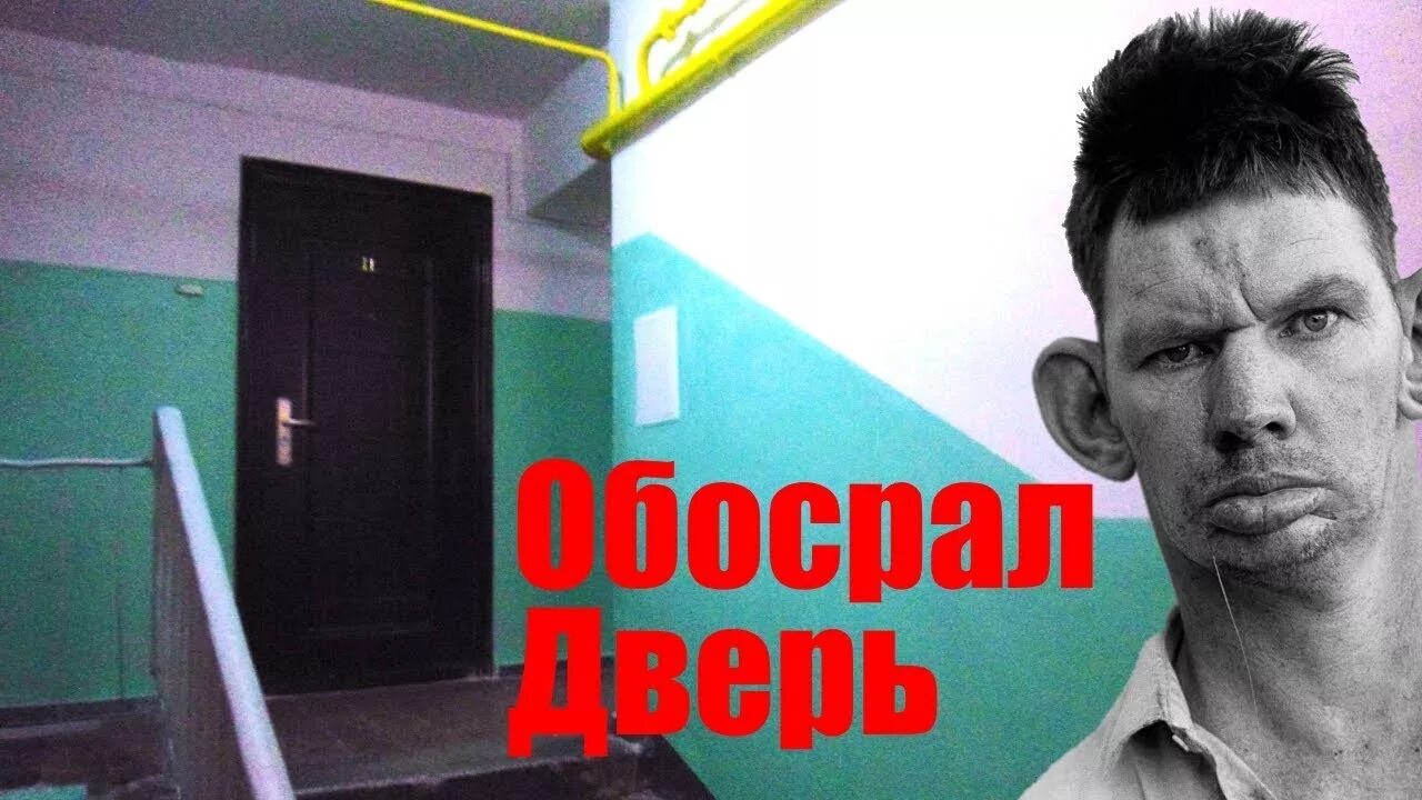 Квадробер нагадил мне под дверь это