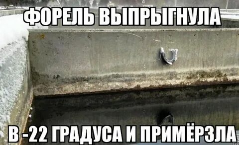 Больше ни ногой